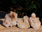 Natural Golden Limonite Coated Fairy Spirit Quartz Clusters x 12 From South Africa - Toprock Gemstones and Minerals 