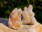 Natural Golden Limonite Coated Fairy Spirit Quartz Clusters x 12 From South Africa - Toprock Gemstones and Minerals 
