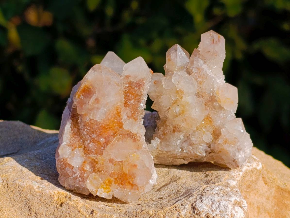 Natural Golden Limonite Coated Fairy Spirit Quartz Clusters x 12 From South Africa - Toprock Gemstones and Minerals 