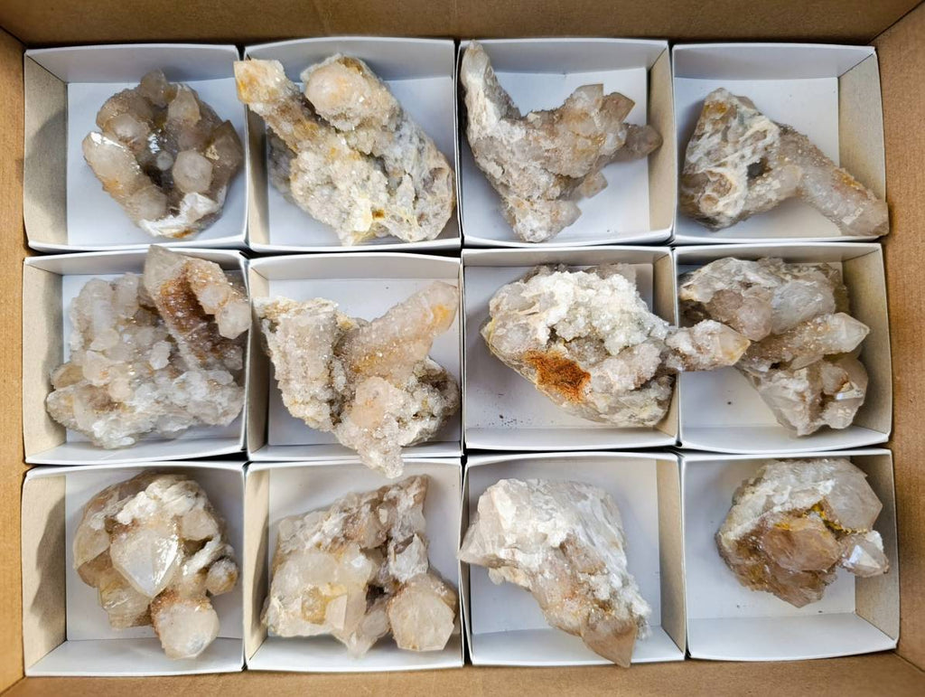 Natural Golden Limonite Coated Fairy Spirit Quartz Clusters x 12 From South Africa - Toprock Gemstones and Minerals 