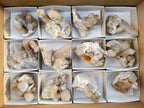 Natural Golden Limonite Coated Fairy Spirit Quartz Clusters x 12 From South Africa - Toprock Gemstones and Minerals 