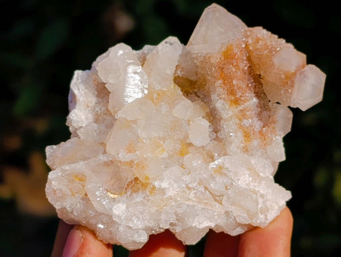 Natural Golden Limonite Coated Fairy Spirit Quartz Clusters x 12 From South Africa - Toprock Gemstones and Minerals 