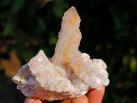 Natural Golden Limonite Coated Fairy Spirit Quartz Clusters x 12 From South Africa