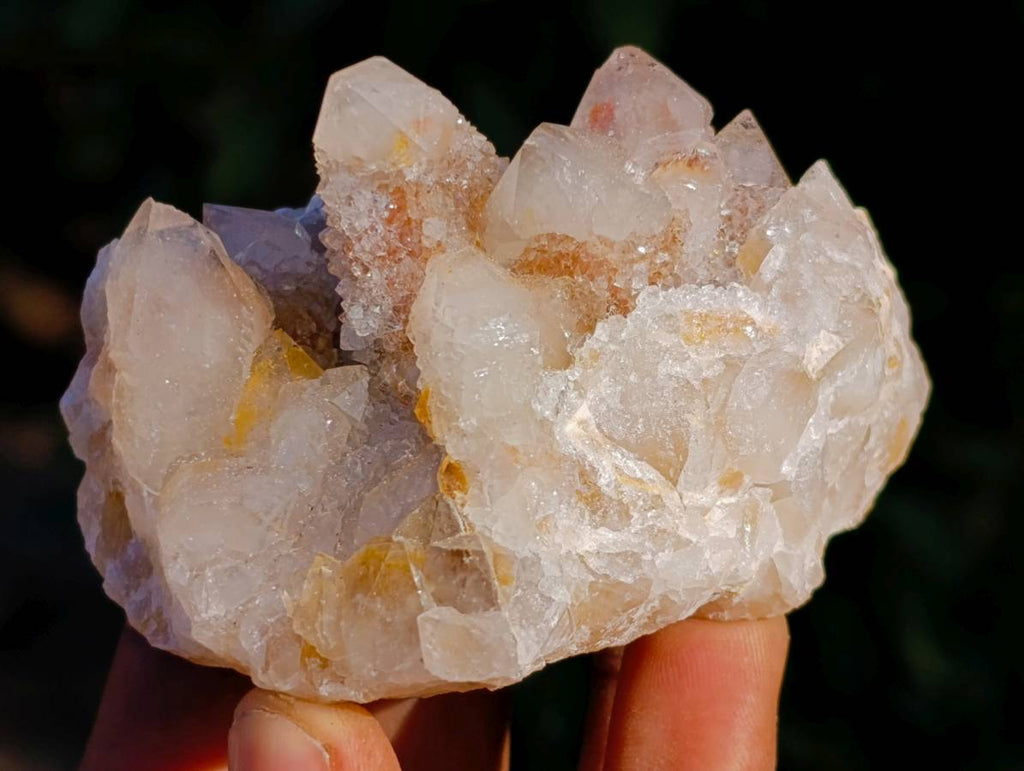 Natural Golden Limonite Coated Fairy Spirit Quartz Clusters x 12 From South Africa - Toprock Gemstones and Minerals 