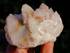 Natural Golden Limonite Coated Fairy Spirit Quartz Clusters x 12 From South Africa - Toprock Gemstones and Minerals 