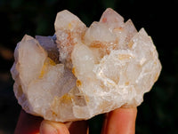Natural Golden Limonite Coated Fairy Spirit Quartz Clusters x 12 From South Africa
