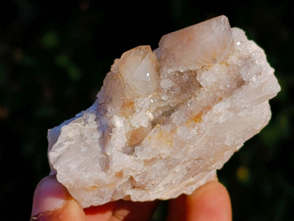 Natural Golden Limonite Coated Fairy Spirit Quartz Clusters x 12 From South Africa - Toprock Gemstones and Minerals 