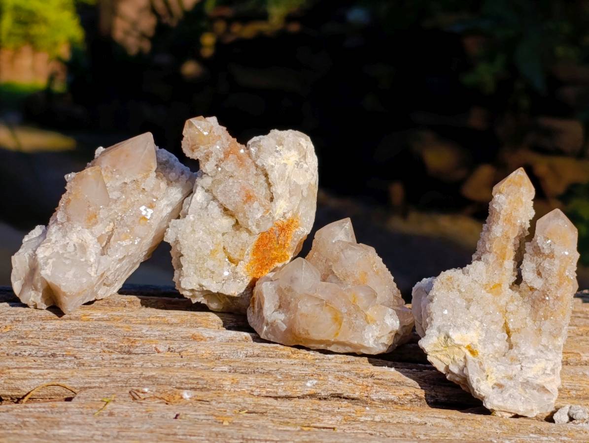 Natural Golden Limonite Coated Fairy Spirit Quartz Clusters x 12 From South Africa - Toprock Gemstones and Minerals 