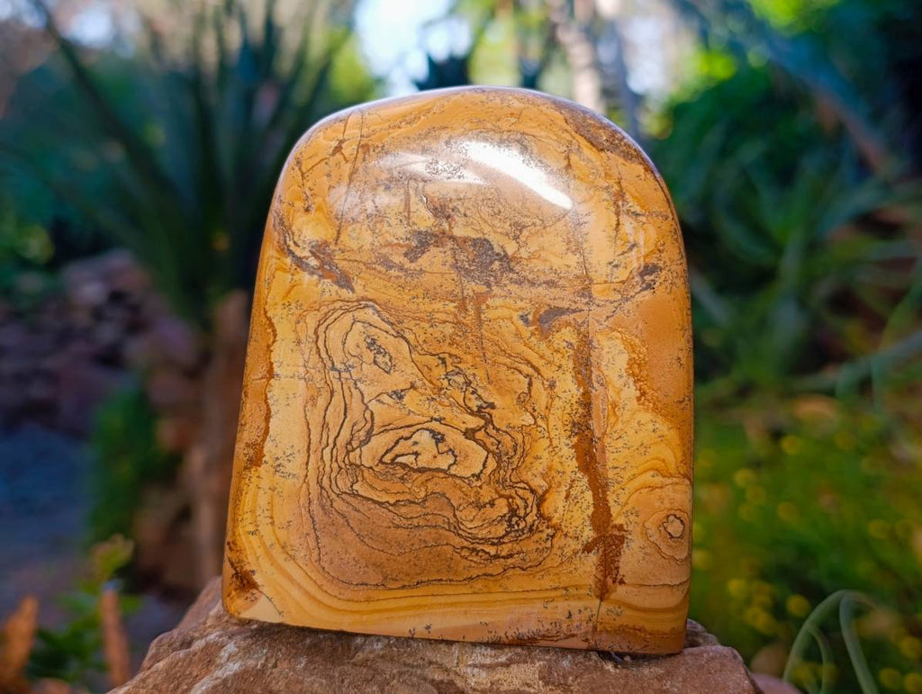 Polished Picture Stone Jasper Standing Free Forms x 2 From Northwest Coast, Madagascar - Toprock Gemstones and Minerals 