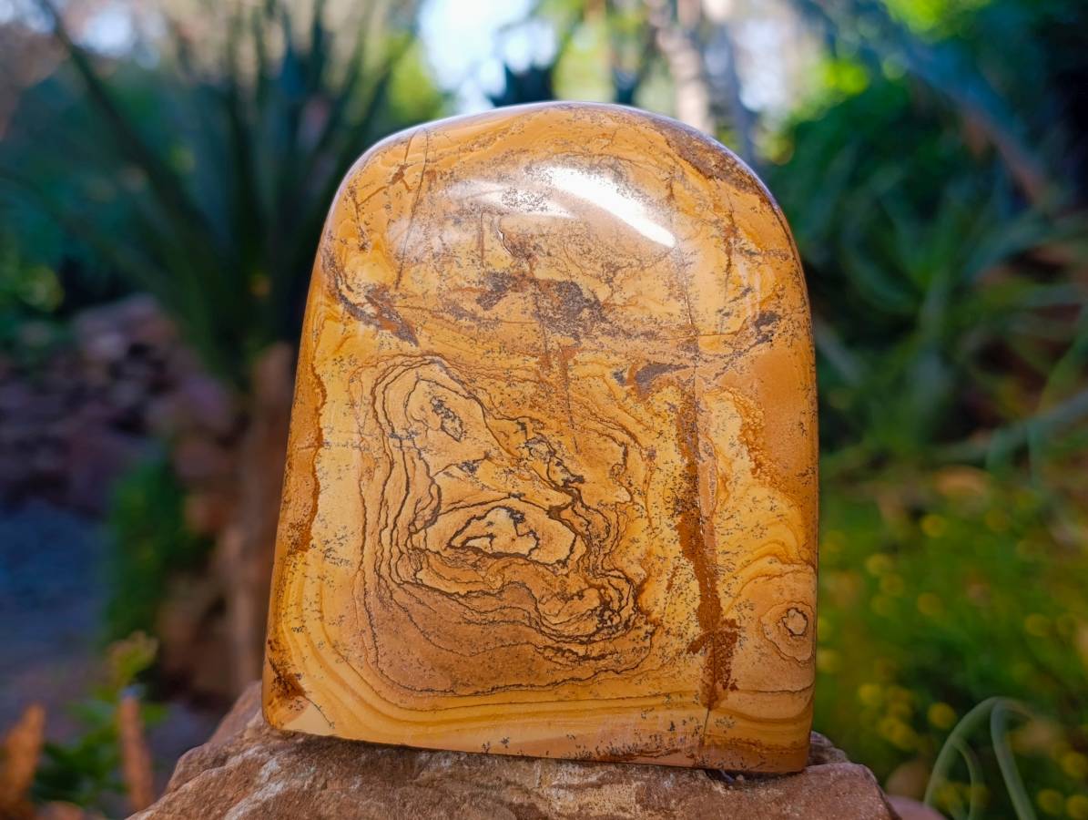 Polished Picture Stone Jasper Standing Free Forms x 2 From Northwest Coast, Madagascar - Toprock Gemstones and Minerals 