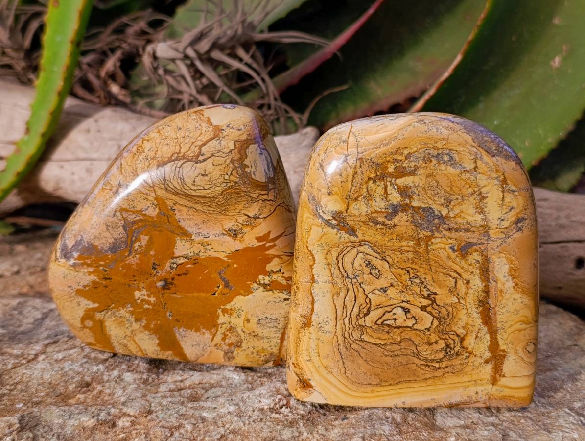 Polished Picture Stone Jasper Standing Free Forms x 2 From Northwest Coast, Madagascar - Toprock Gemstones and Minerals 