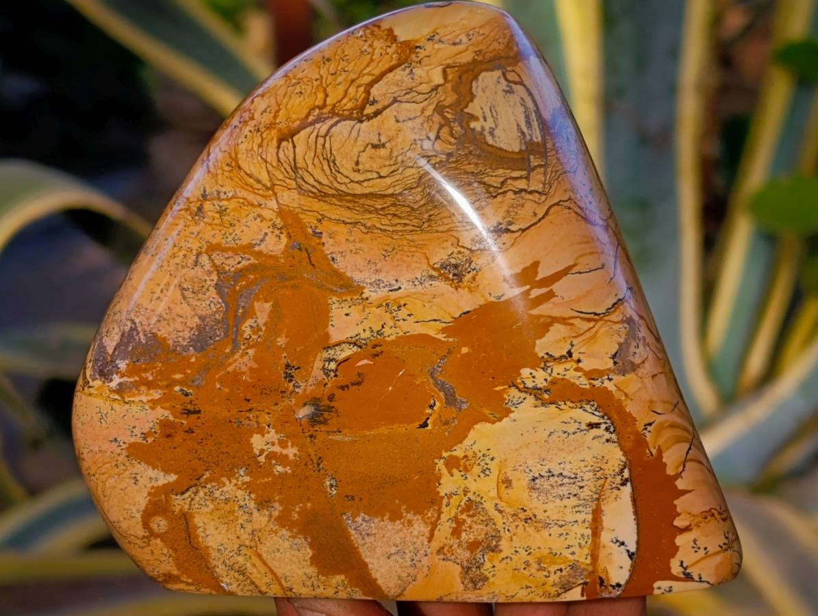 Polished Picture Stone Jasper Standing Free Forms x 2 From Northwest Coast, Madagascar - Toprock Gemstones and Minerals 