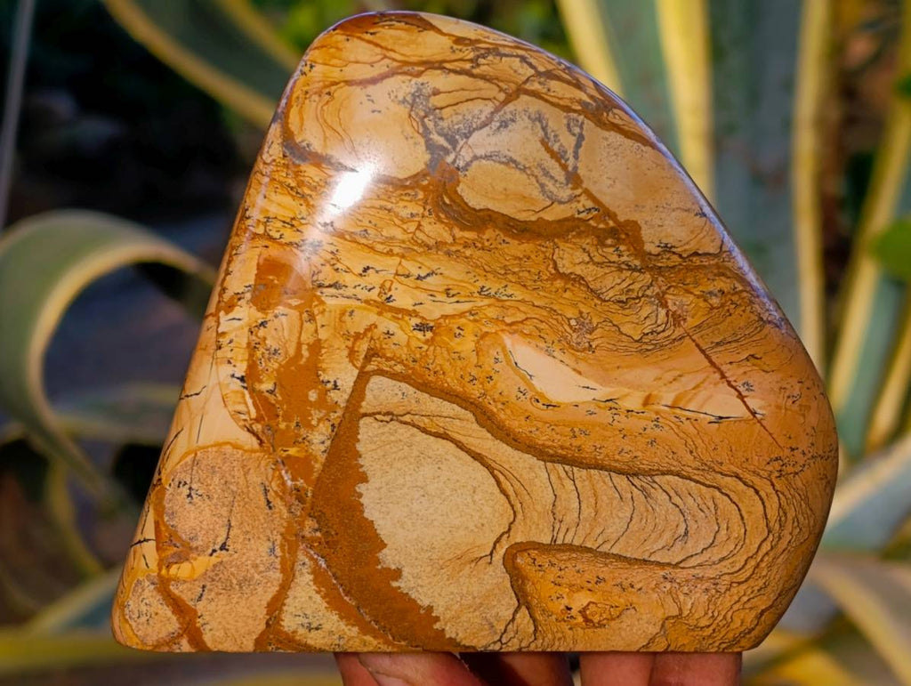 Polished Picture Stone Jasper Standing Free Forms x 2 From Northwest Coast, Madagascar - Toprock Gemstones and Minerals 