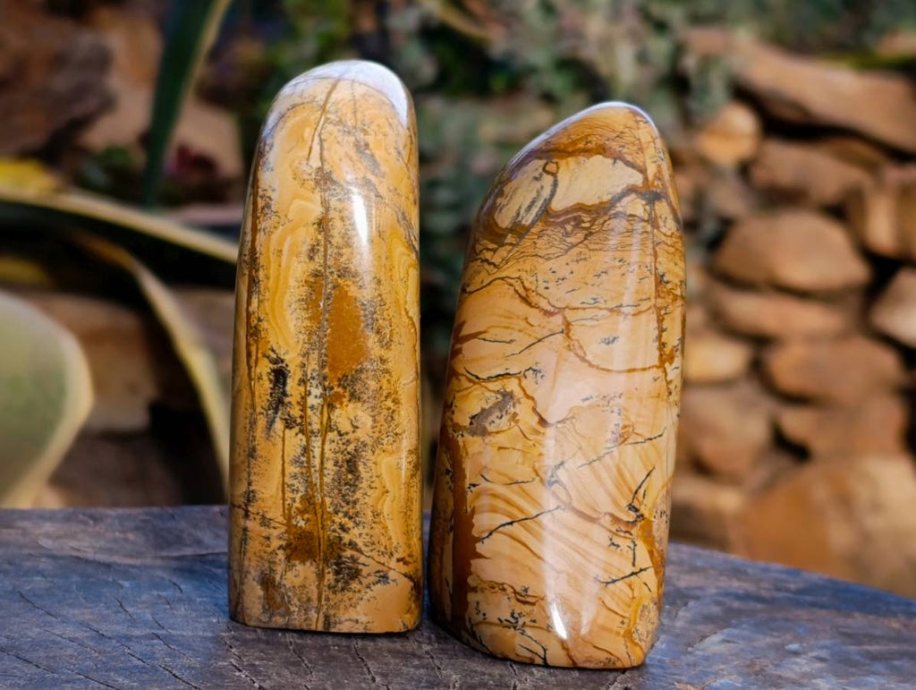 Polished Picture Stone Jasper Standing Free Forms x 2 From Northwest Coast, Madagascar - Toprock Gemstones and Minerals 