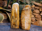 Polished Picture Stone Jasper Standing Free Forms x 2 From Northwest Coast, Madagascar - Toprock Gemstones and Minerals 