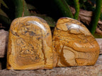 Polished Picture Stone Jasper Standing Free Forms x 2 From Northwest Coast, Madagascar - Toprock Gemstones and Minerals 