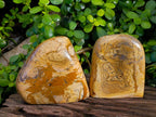Polished Picture Stone Jasper Standing Free Forms x 2 From Northwest Coast, Madagascar - Toprock Gemstones and Minerals 
