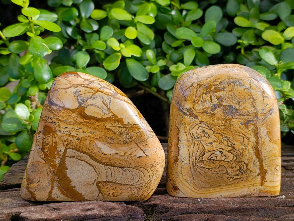 Polished Picture Stone Jasper Standing Free Forms x 2 From Northwest Coast, Madagascar - Toprock Gemstones and Minerals 