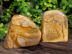 Polished Picture Stone Jasper Standing Free Forms x 2 From Northwest Coast, Madagascar - Toprock Gemstones and Minerals 