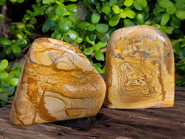 Polished Picture Stone Jasper Standing Free Forms x 2 From Northwest Coast, Madagascar