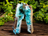 Natural Drusy Coated Chrysocolla Specimens x 2 From Lupoto Mine, Congo