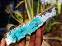 Natural Drusy Coated Chrysocolla Specimens x 2 From Lupoto Mine, Congo