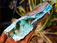 Natural Drusy Coated Chrysocolla Specimens x 2 From Lupoto Mine, Congo