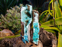Natural Drusy Coated Chrysocolla Specimens x 2 From Lupoto Mine, Congo