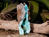 Natural Drusy Coated Chrysocolla Specimens x 2 From Lupoto Mine, Congo