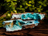 Natural Drusy Coated Chrysocolla Specimens x 2 From Lupoto Mine, Congo