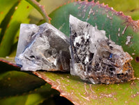 Natural Bladed Barite Specimens x 39 From Congo