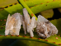 Natural Bladed Barite Specimens x 39 From Congo