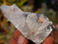 Natural Bladed Barite Specimens x 39 From Congo
