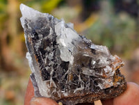 Natural Bladed Barite Specimens x 39 From Congo