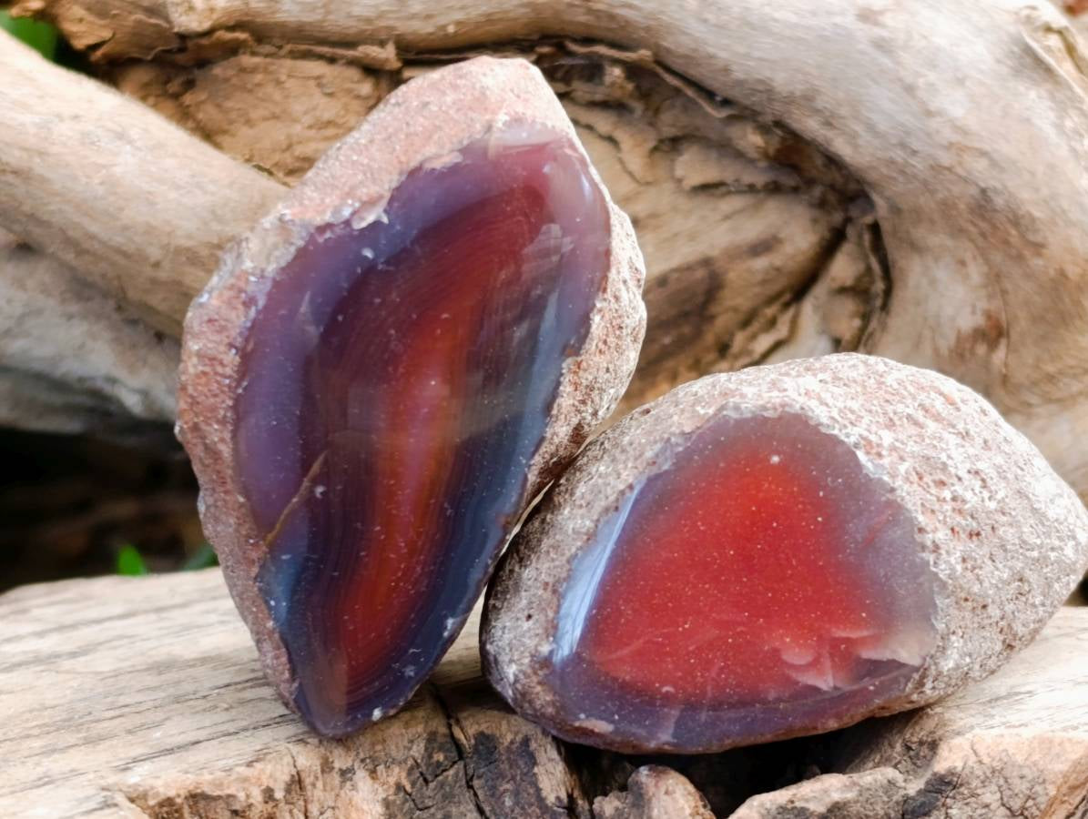Polished On One Side Red Sashe River Agate Nodules x 20 From Zimbabwe - Toprock Gemstones and Minerals 