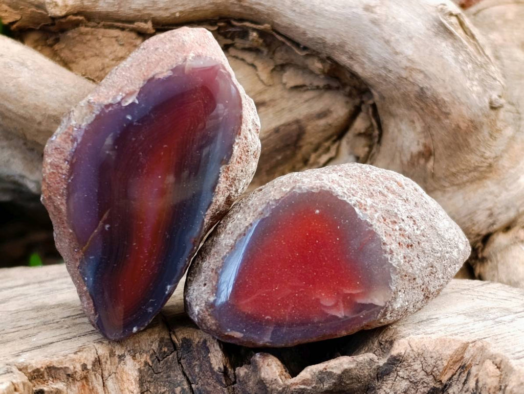 Polished On One Side Red Sashe River Agate Nodules x 20 From Zimbabwe - Toprock Gemstones and Minerals 