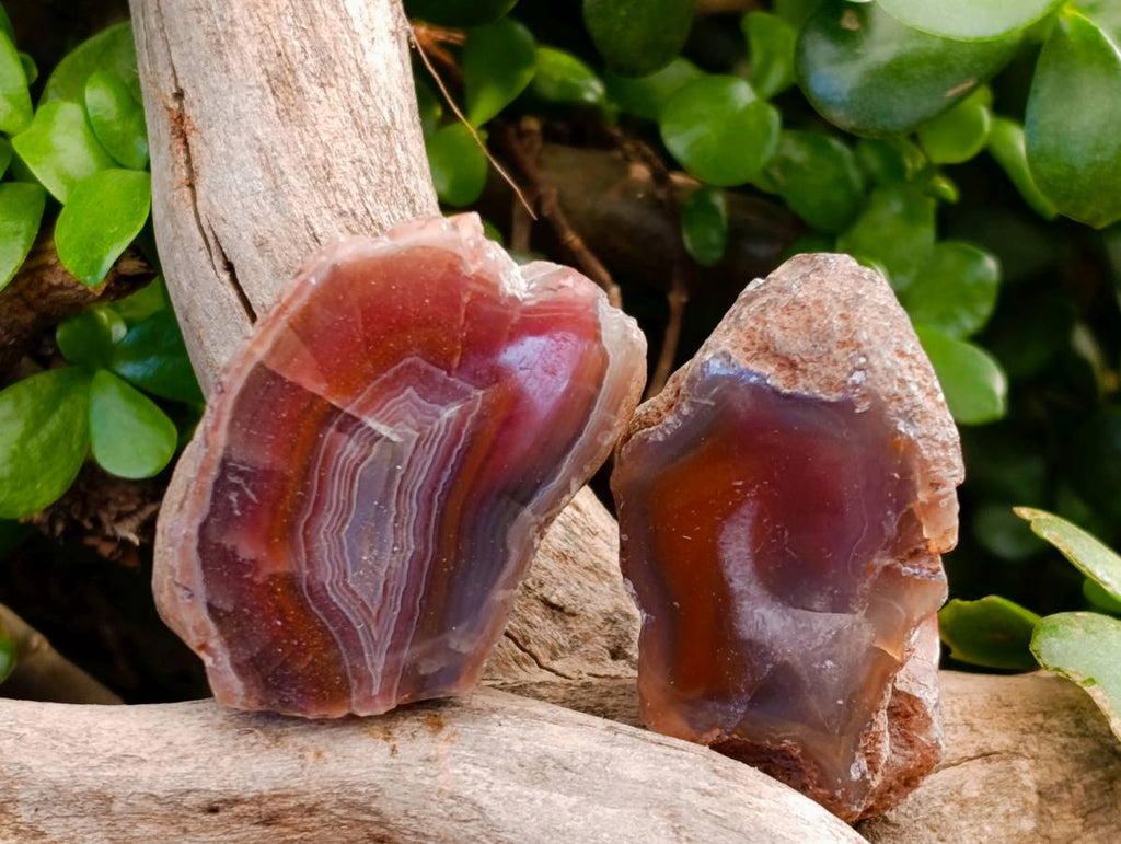 Polished On One Side Red Sashe River Agate Nodules x 20 From Zimbabwe - Toprock Gemstones and Minerals 