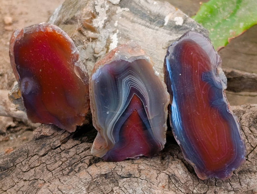 Polished On One Side Red Sashe River Agate Nodules x 20 From Zimbabwe - Toprock Gemstones and Minerals 