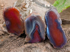 Polished On One Side Red Sashe River Agate Nodules x 20 From Zimbabwe - Toprock Gemstones and Minerals 