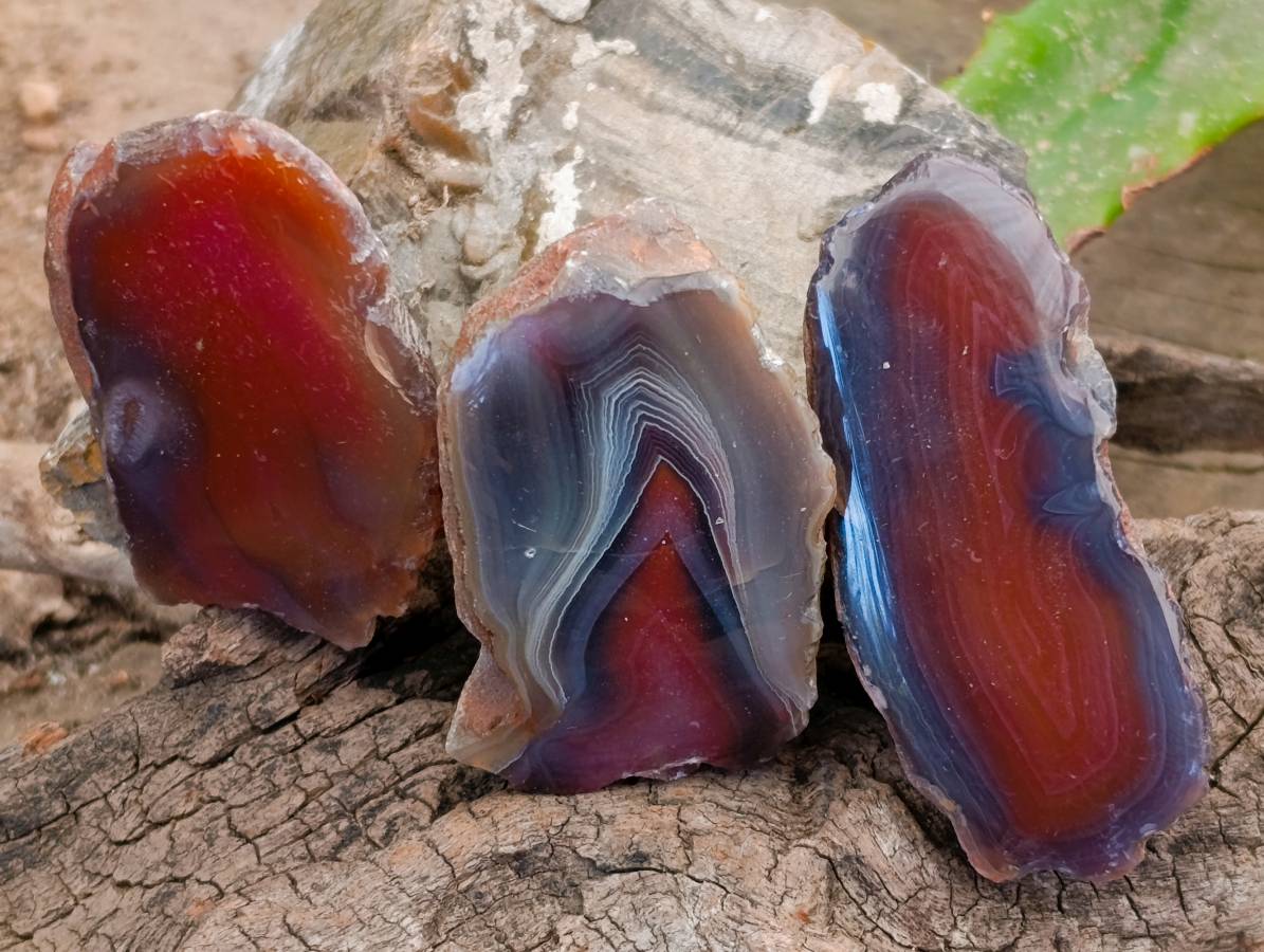 Polished On One Side Red Sashe River Agate Nodules x 20 From Zimbabwe - Toprock Gemstones and Minerals 