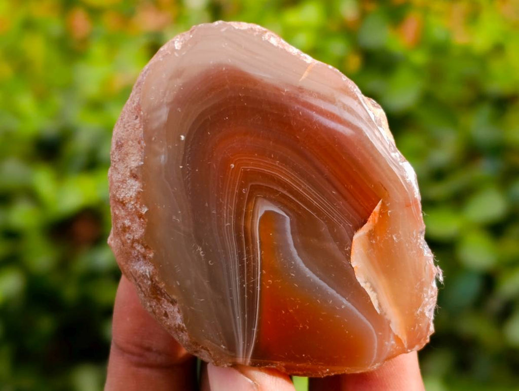 Polished On One Side Red Sashe River Agate Nodules x 20 From Zimbabwe - Toprock Gemstones and Minerals 
