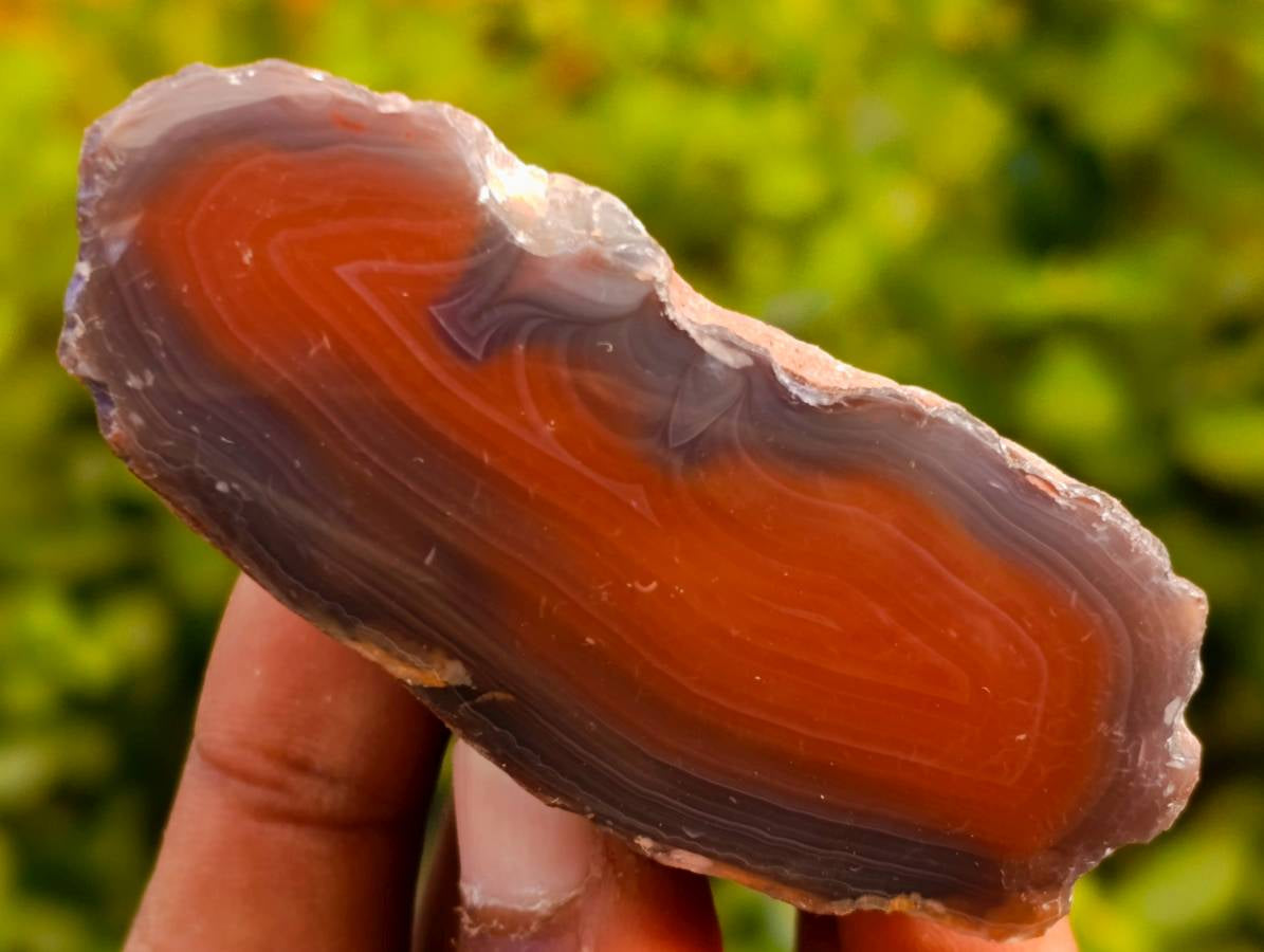 Polished On One Side Red Sashe River Agate Nodules x 20 From Zimbabwe - Toprock Gemstones and Minerals 