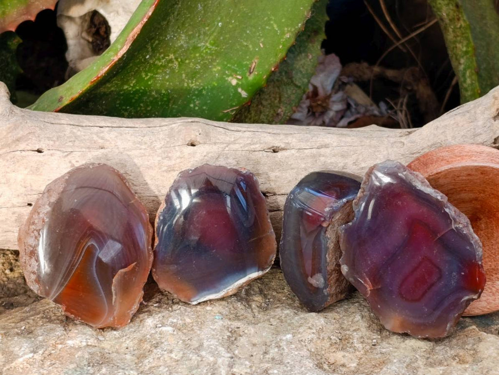 Polished On One Side Red Sashe River Agate Nodules x 20 From Zimbabwe - Toprock Gemstones and Minerals 