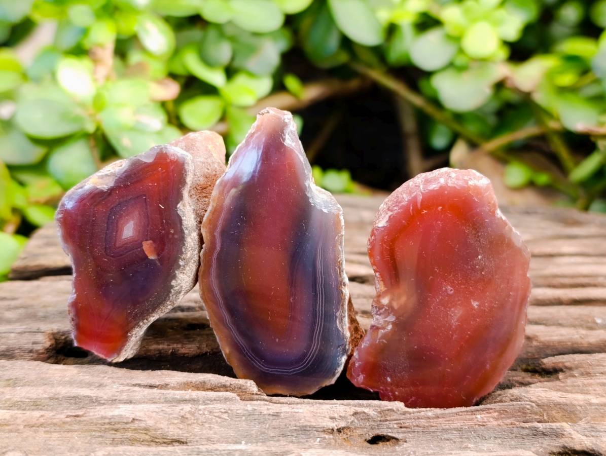 Polished On One Side Red Sashe River Agate Nodules x 20 From Zimbabwe - Toprock Gemstones and Minerals 