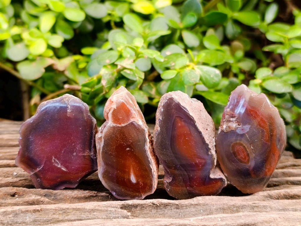 Polished On One Side Red Sashe River Agate Nodules x 20 From Zimbabwe - Toprock Gemstones and Minerals 