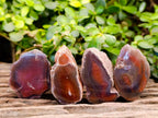 Polished On One Side Red Sashe River Agate Nodules x 20 From Zimbabwe - Toprock Gemstones and Minerals 