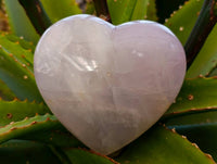 Polished Rose Quartz Gemstone Hearts x 2 Ambatondrazaka, Madagascar