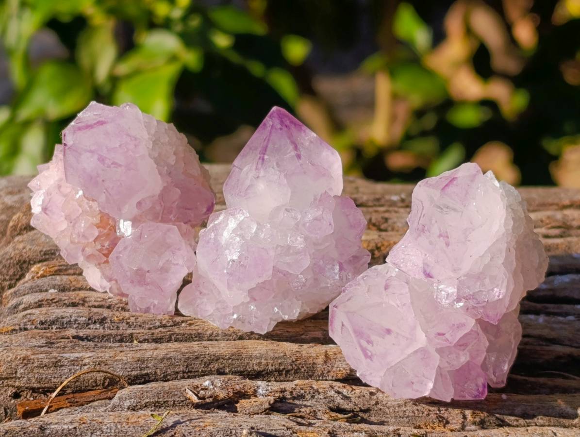 Natural Amethyst Spirit Quartz Clusters x 12 From Boekenhouthoek, South Africa - Toprock Gemstones and Minerals 