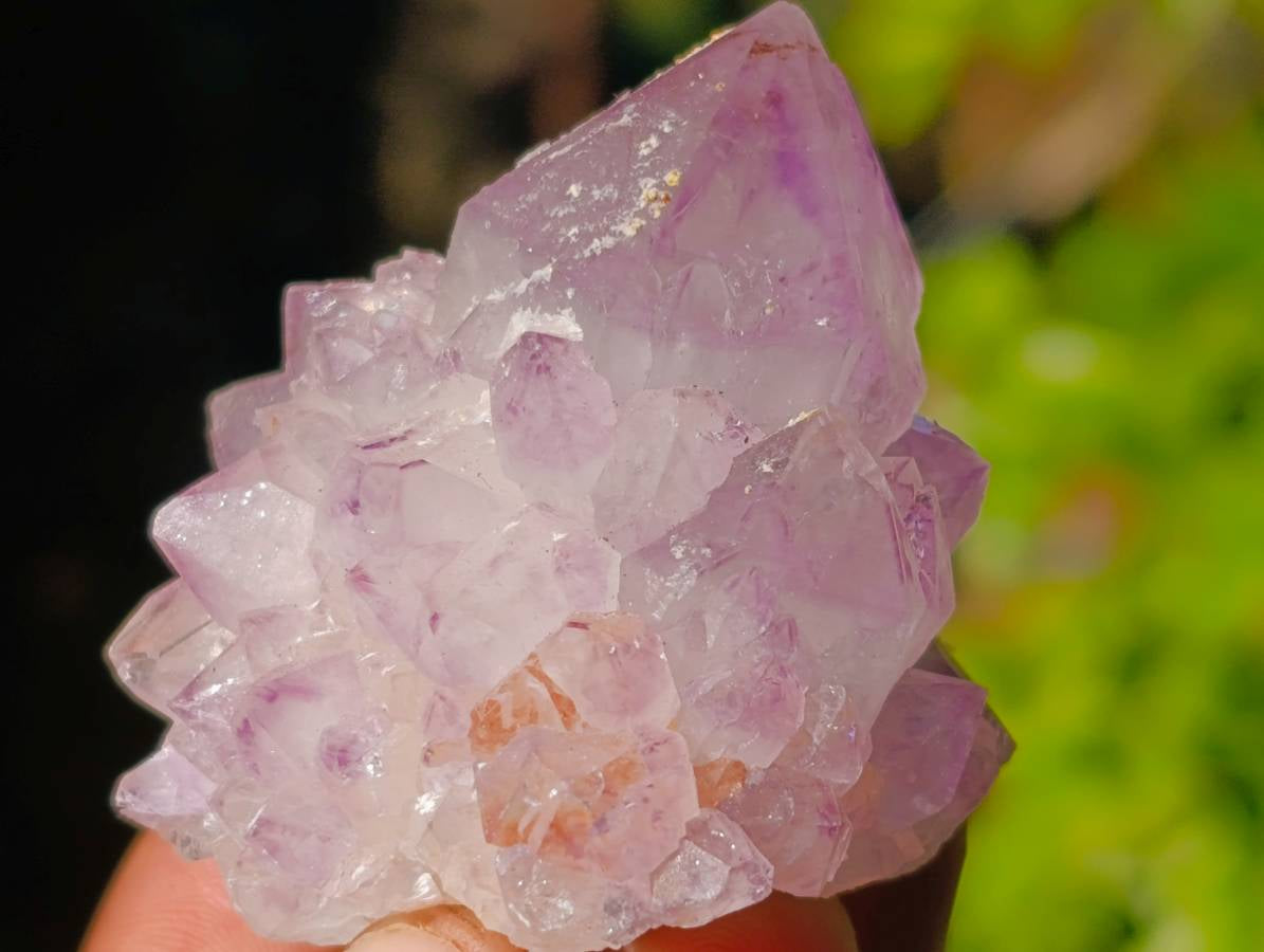 Natural Amethyst Spirit Quartz Clusters x 12 From Boekenhouthoek, South Africa - Toprock Gemstones and Minerals 