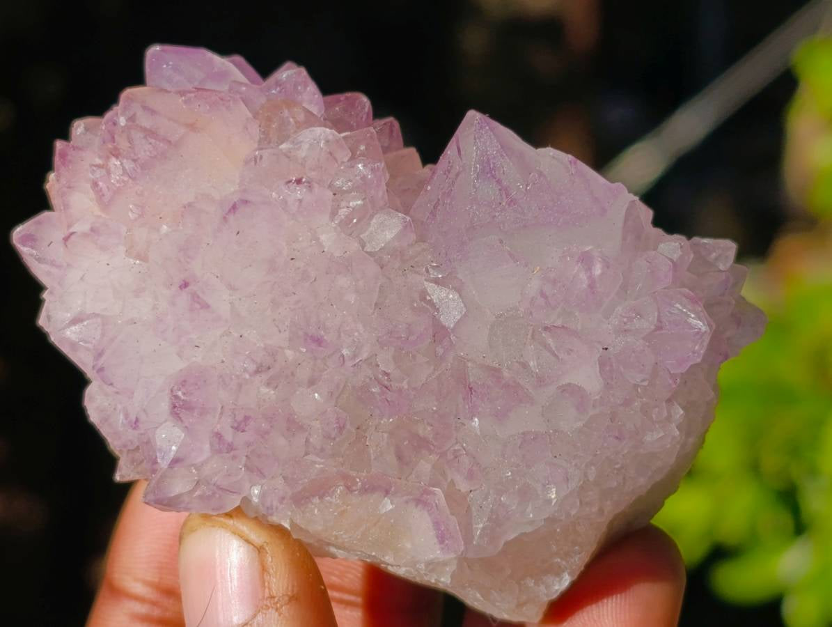 Natural Amethyst Spirit Quartz Clusters x 12 From Boekenhouthoek, South Africa - Toprock Gemstones and Minerals 